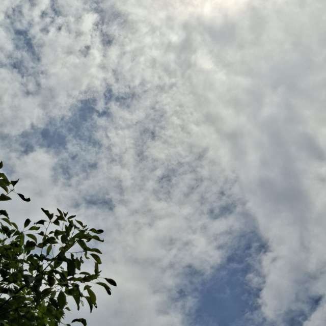 Old. Weather forecasts with beautiful photos by Wen-ya Huang Photos in Kaohsiung City