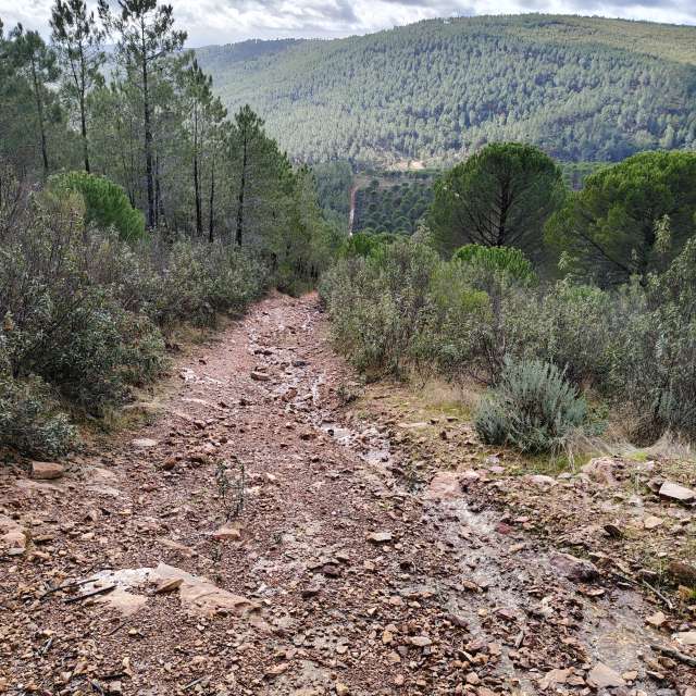 Weather forecasts with beautiful photos by Pcm407