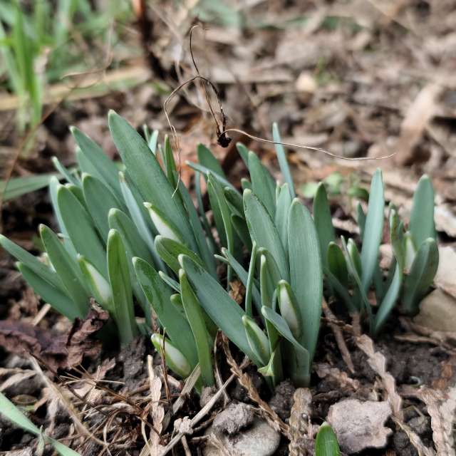 IvanaBの美しい写真による天気予報