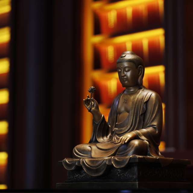 Weather forecasts with beautiful photos by xhhx