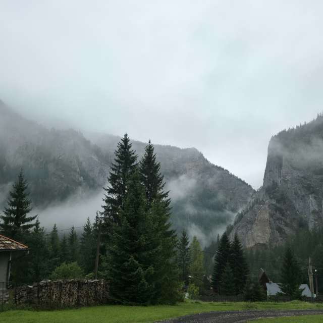 Weather forecasts with beautiful photos by Mircea