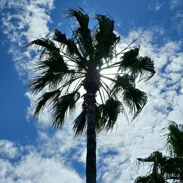 Prévisions météo avec de superbes photos de Traveling-Puma