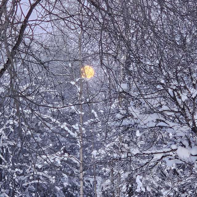 Weather forecasts with beautiful photos by KatreKal