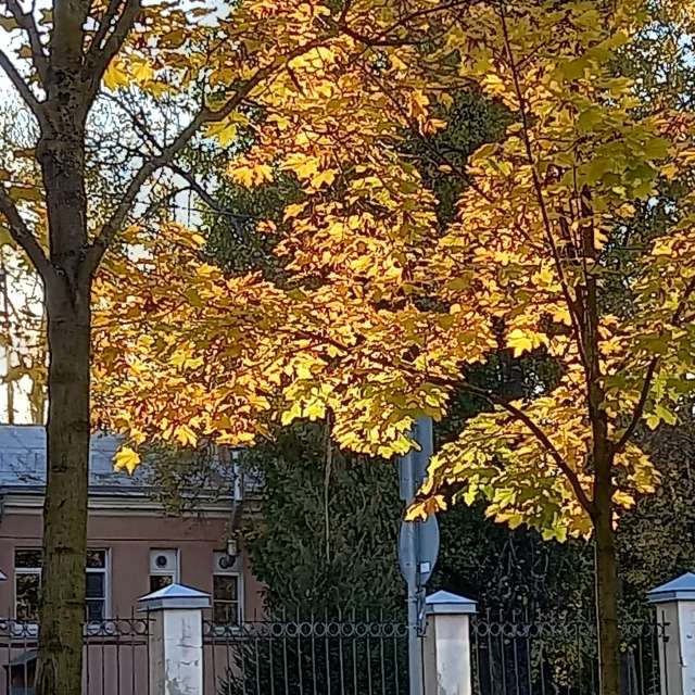 Pronósticos del tiempo con hermosas fotos de Prohojiy