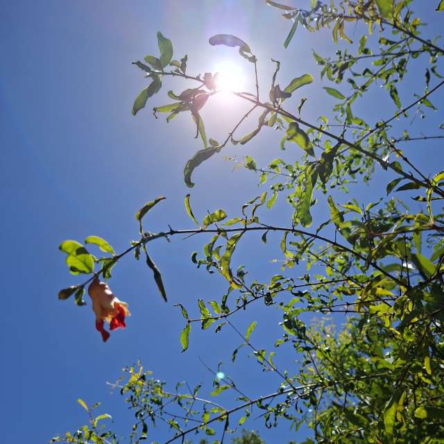 Photos Vol. Prévisions météo avec de superbes photos de Wen-ya Huang de Kaohsiung