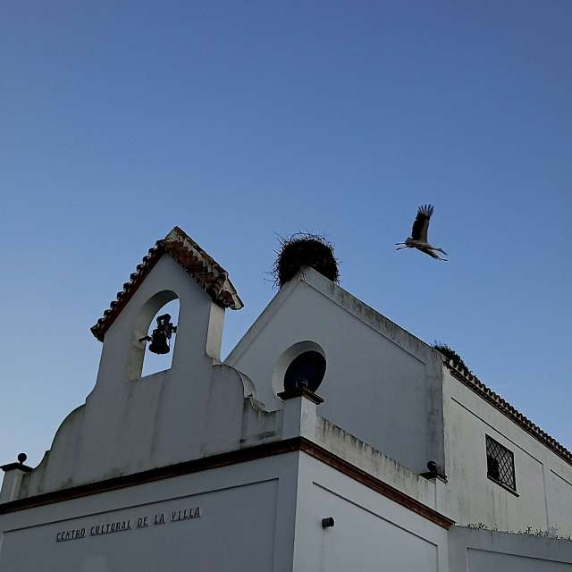 Pronósticos del tiempo con hermosas fotos de MOR