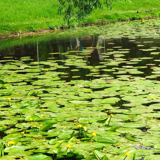 天气预报，带newgen精美的照片