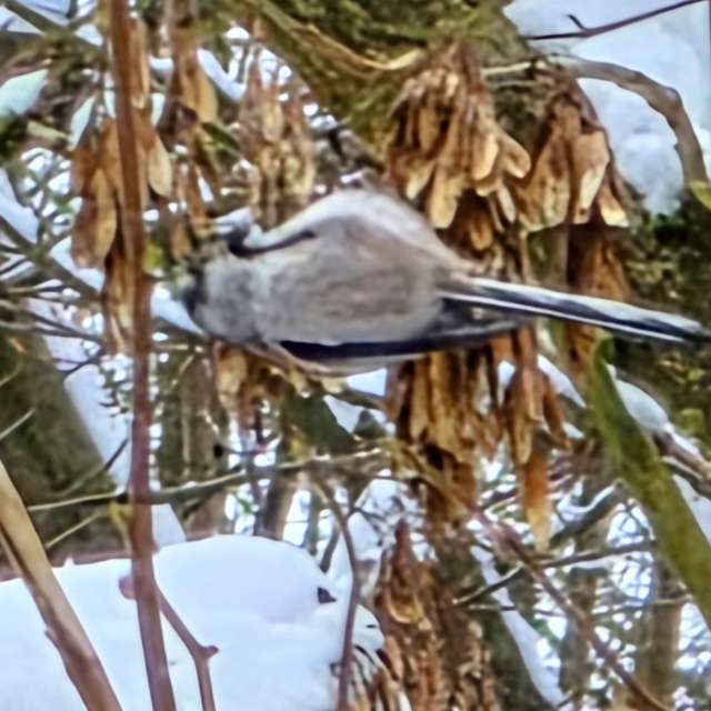 Prévisions météo avec de superbes photos de Seni