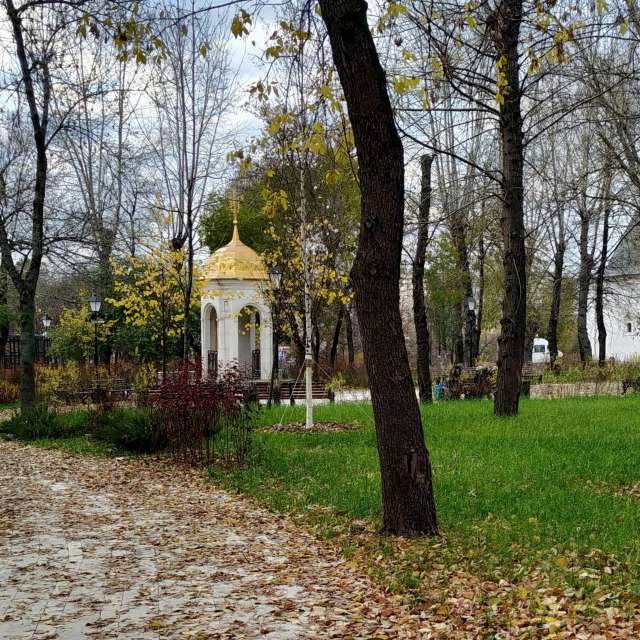 天气预报，带19Lora46精美的照片