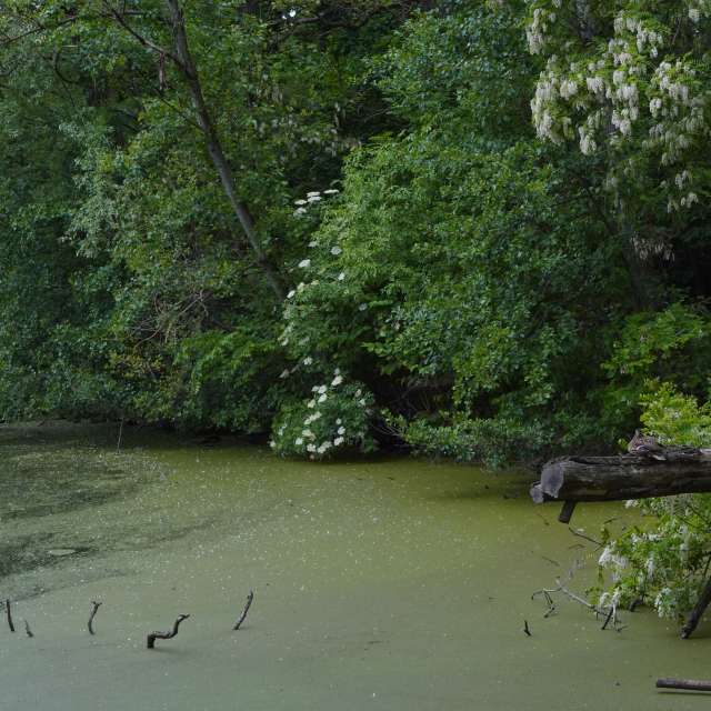 Fotos Lago. Previsões do tempo com lindas fotos de Vasek325 em Praha 4
