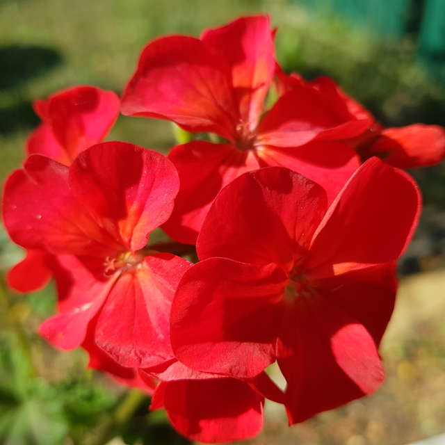 天气预报，带andreyfetisov精美的照片