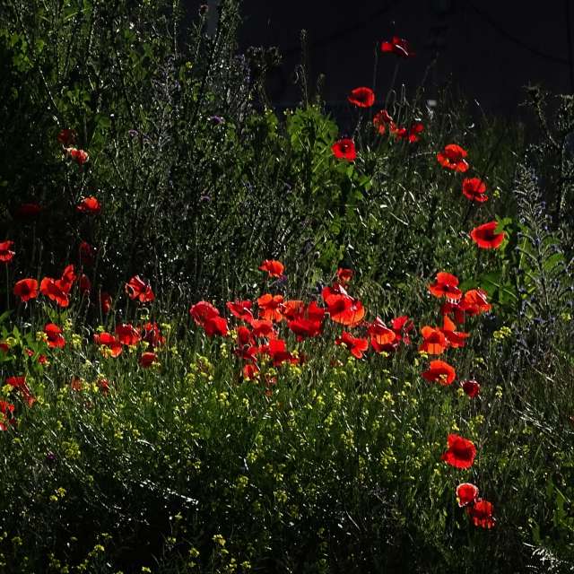 Front. Weather forecasts with beautiful photos by Михаил Гавриков Photos in Kharkiv