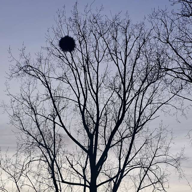 Previsões do tempo com lindas fotos de Greenbroker