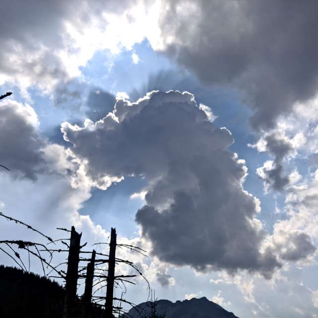 天气预报，带crisboon精美的照片