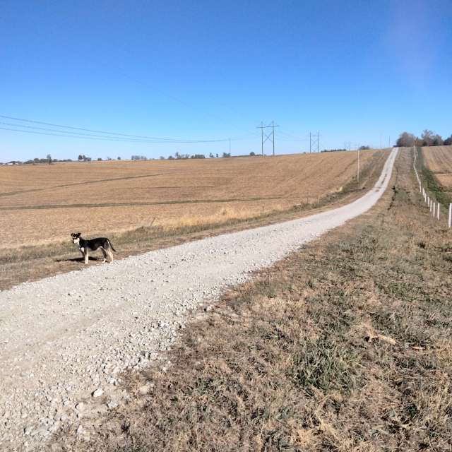 Weather forecasts with beautiful photos by Kate72