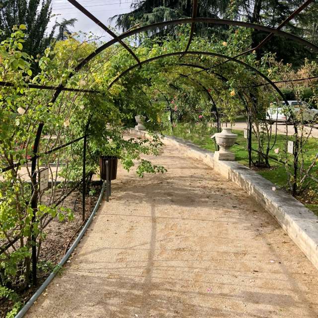 Side. Weather forecasts with beautiful photos by Lulu5523 Photos in Madrid