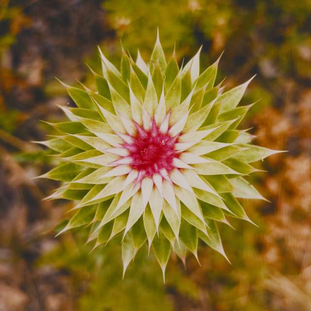 Pronósticos del tiempo con hermosas fotos de aprojas81