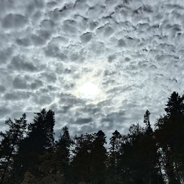 マーケットプレイスの天気写真. BijanZの美しい写真による天気予報
