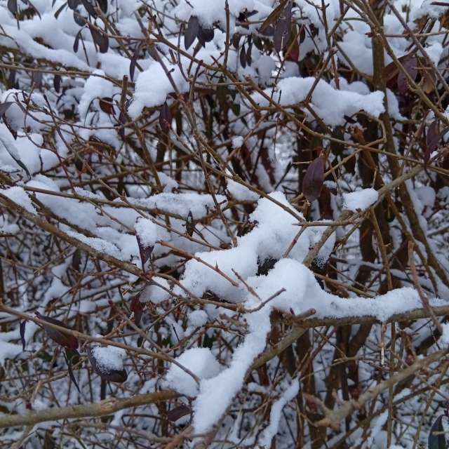 Pronósticos del tiempo con hermosas fotos de Kiki248