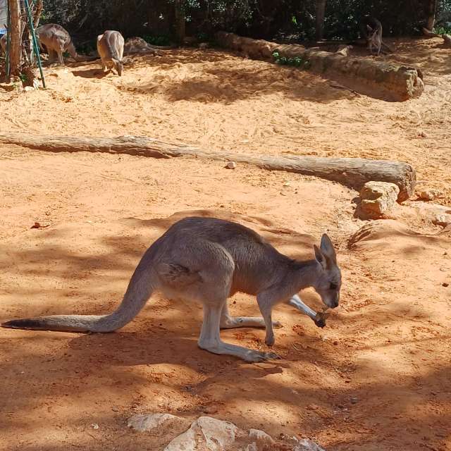 Zoo. Weather forecasts with beautiful photos by Zaza Photos in World