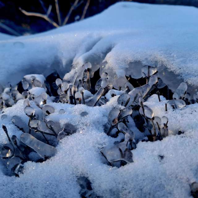 Weather forecasts with beautiful photos by Iryna