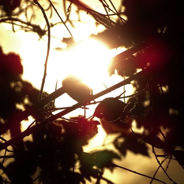 Lit. Weather forecasts with beautiful photos by Михаил Гавриков Photos in Kharkiv