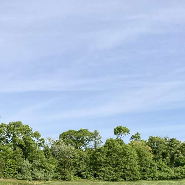Fotos del Pasto. Pronósticos del tiempo con hermosas fotos de prairiesands en Cape Cod