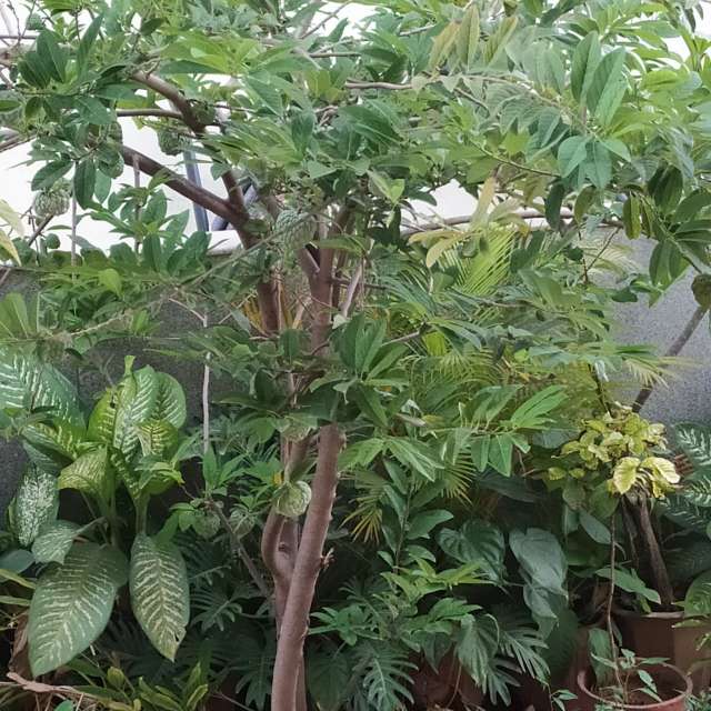 Прогнозы погоды с чудесными фотографиями, сделанными Mashaer