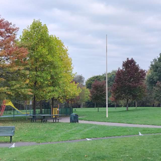 天气预报，带Lea71精美的照片