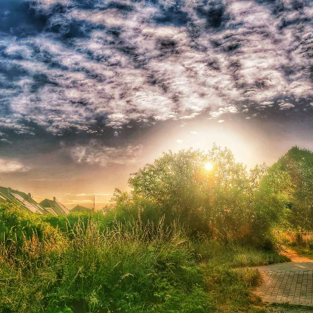 Prévisions météo avec de superbes photos de Gweiland