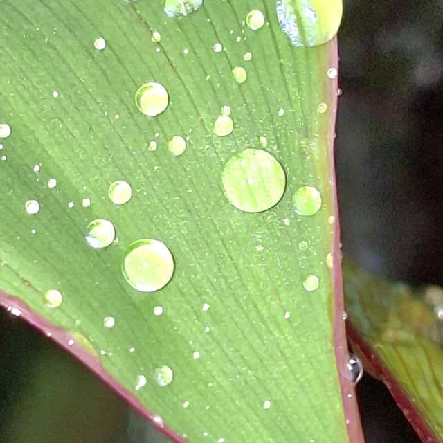 Photos Femme. Prévisions météo avec de superbes photos de Wen-ya Huang de Kaohsiung