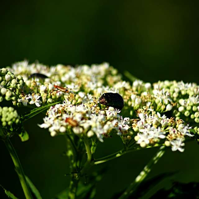 Spring. Weather forecasts with beautiful photos by tony5636 Photos in World