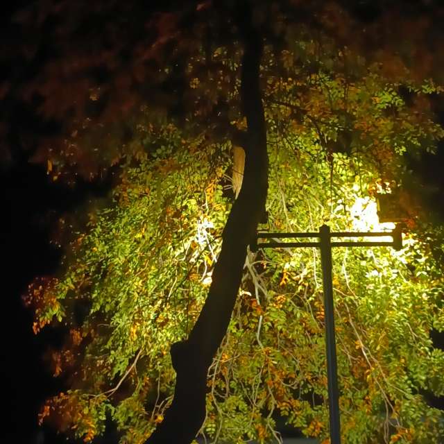 Fotos del Firmar. Pronósticos del tiempo con hermosas fotos de YanBog en București