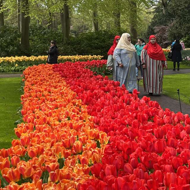 Weather forecasts with beautiful photos by Oksy