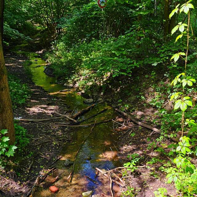Fotos Cercado. Previsões do tempo com lindas fotos de Seni em Velbert