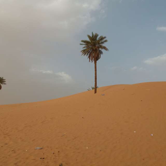 Photos Sablonneux. Prévisions météo avec de superbes photos de BELGHOUL-KADDA de Béchar
