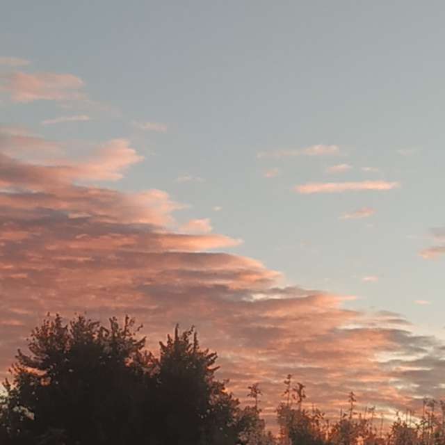 Weather forecasts with beautiful photos by Siulasem