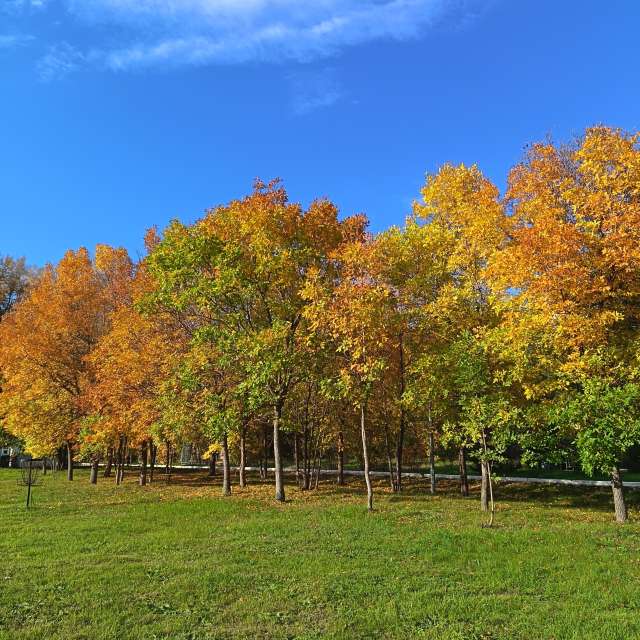 Fotos Pastando. Previsões do tempo com lindas fotos de ЮлЯШа em Gorodckoy Pliazh V Parke "Samal"