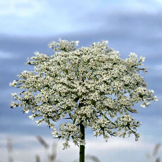 Tisch. Wettervorhersagen mit schönen Fotos von Hela Fotos Bayern