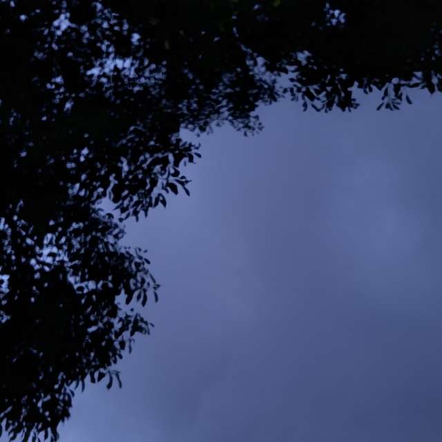 Photos Facile. Prévisions météo avec de superbes photos de Wen-ya Huang de Kaohsiung