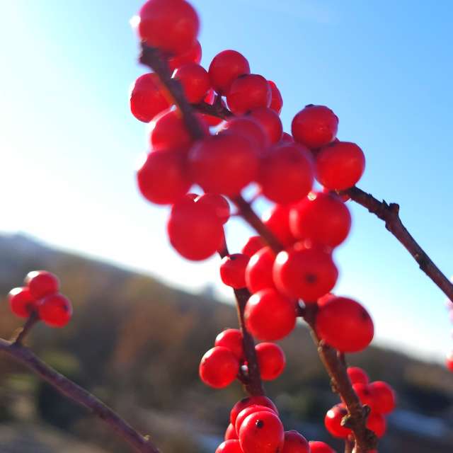 Fotos Computador. Previsões do tempo com lindas fotos de Seni em Velbert