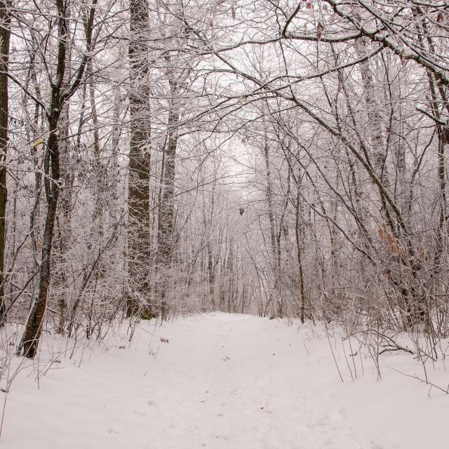 Pronósticos del tiempo con hermosas fotos de Paul57