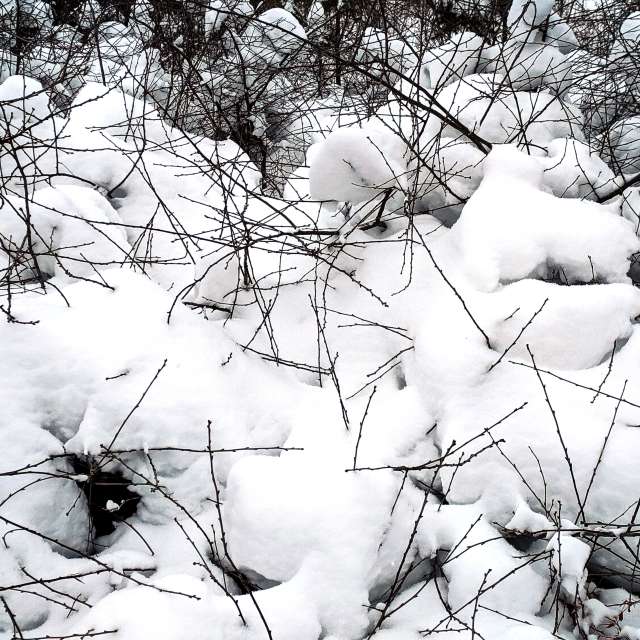 天气预报，带aastrelkova精美的照片