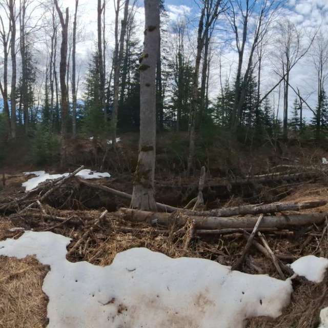 Weather forecasts with beautiful photos by NorthernMichiganBeauty