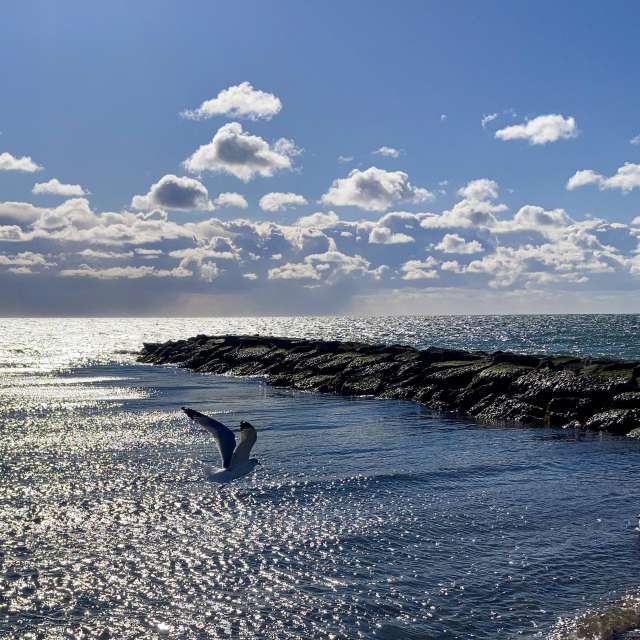 Pronósticos del tiempo con hermosas fotos de prairiesands