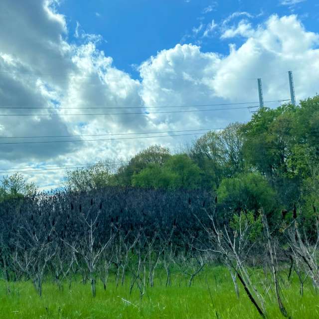 GREENE. Weather forecasts with beautiful photos by Lulu5523 Photos in le Plateau