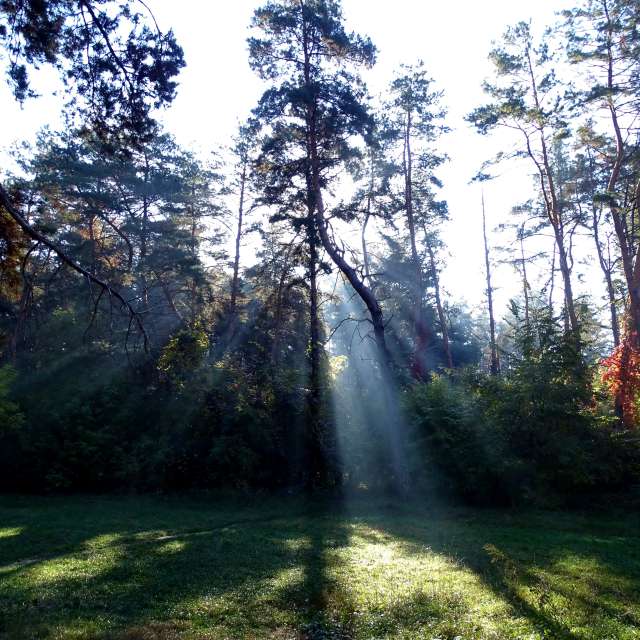 Track. Weather forecasts with beautiful photos by Михаил Гавриков Photos in Kharkiv