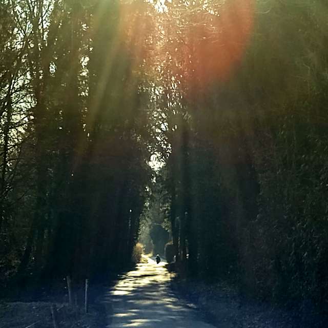 天气预报，带Airene精美的照片