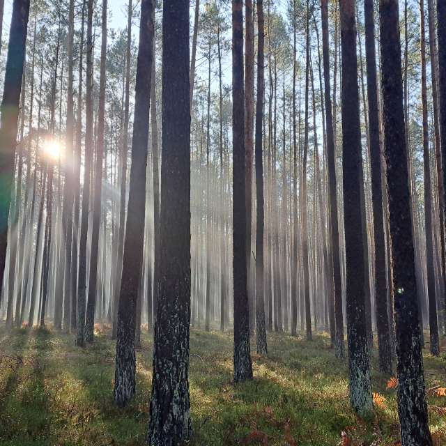 Прогнозы погоды с чудесными фотографиями, сделанными Arturo