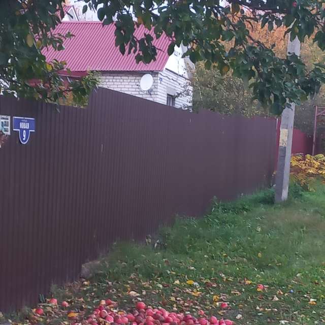 天气预报，带Djon精美的照片